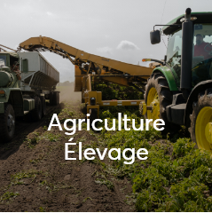 Agriculture - Elevage